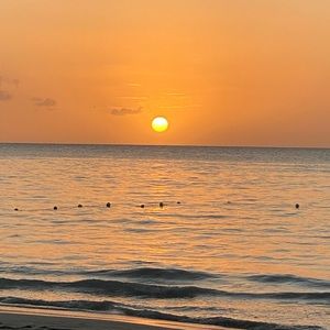 Meet your Posher, Janice